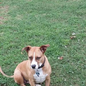 Meet your Posher, Tammie